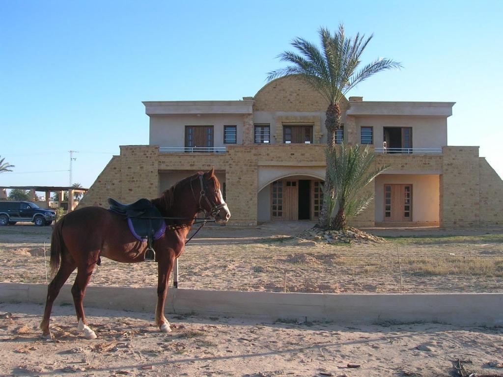 فندق Bella Djerba حومة السوق المظهر الخارجي الصورة
